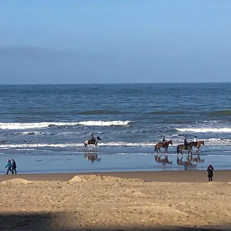 Sea-senses Com/blue Moon Apartament Koksijde