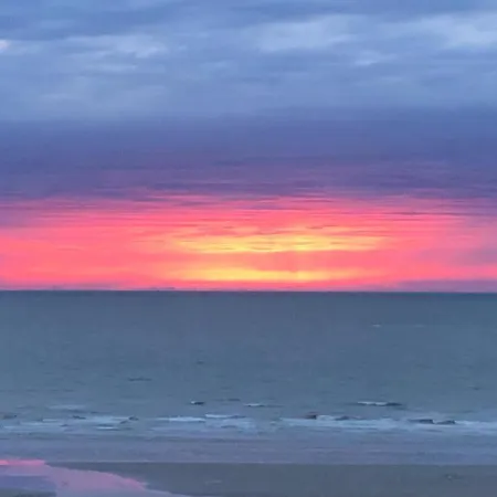 Sea-senses Com/blue Moon