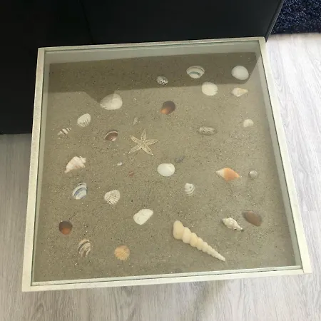 Sea-senses Com/blue Moon