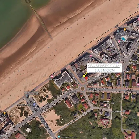 Sea-senses Com/blue Moon